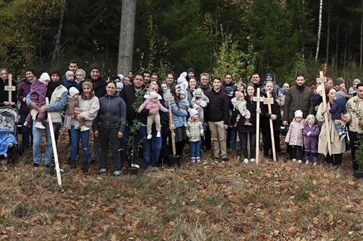 Lebensbäumchen 2025